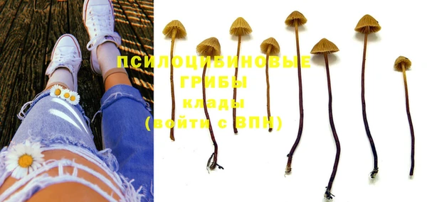 крисы Волосово