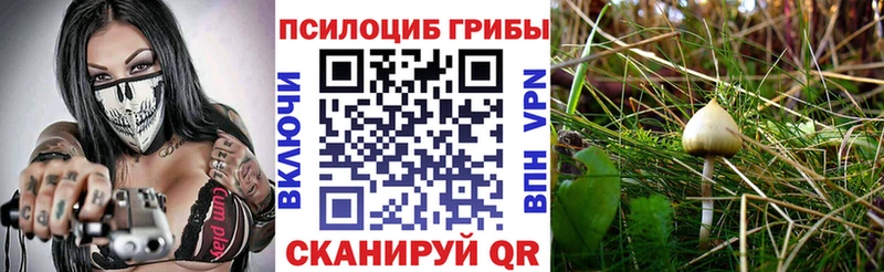 blacksprut как зайти  Норильск  Псилоцибиновые грибы MAGIC MUSHROOMS  даркнет сайт 